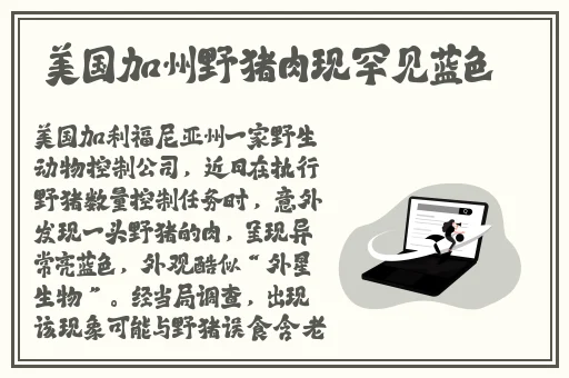 粉色视频APP下载安装无限看免费-丝瓜公司